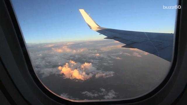 Here's Why Plane Windows Are Shaped As They Are