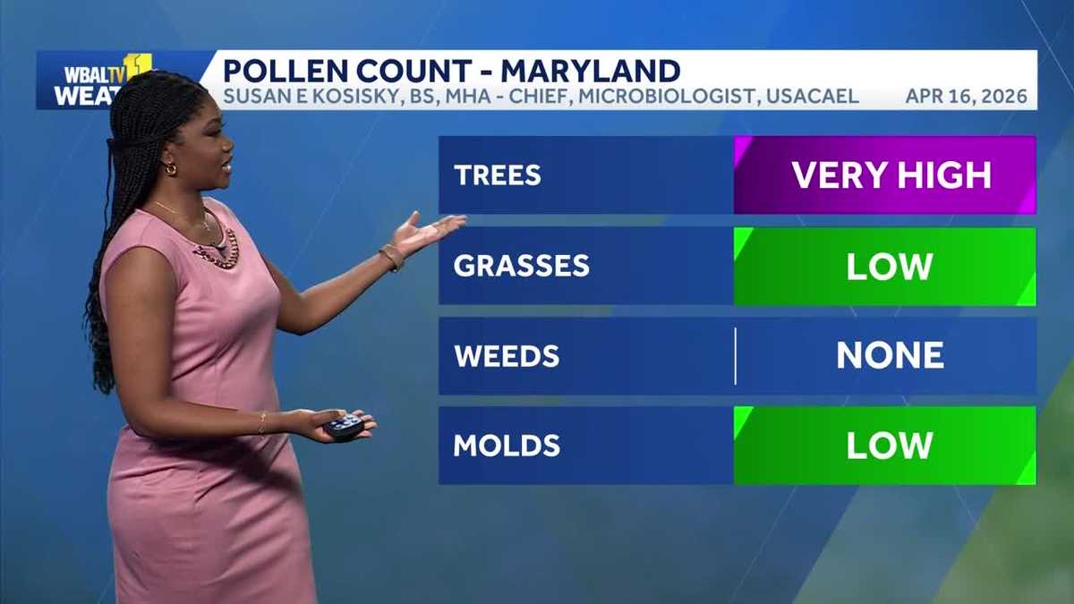 Weather Talk: Looking at Maryland's pollen count