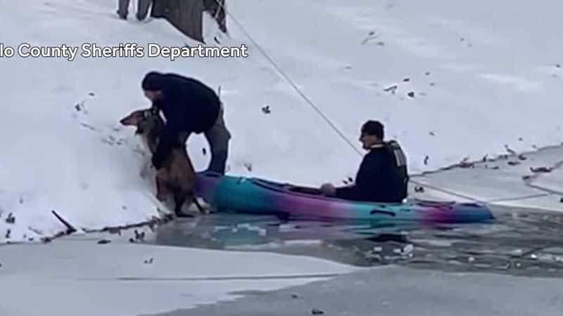 WATCH: Quick-thinking rescuers save freezing dog from icy Iowa pond