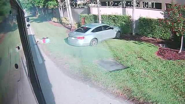 Video captures driver hitting 14-year-old girl with car while boarding her bus in Estero