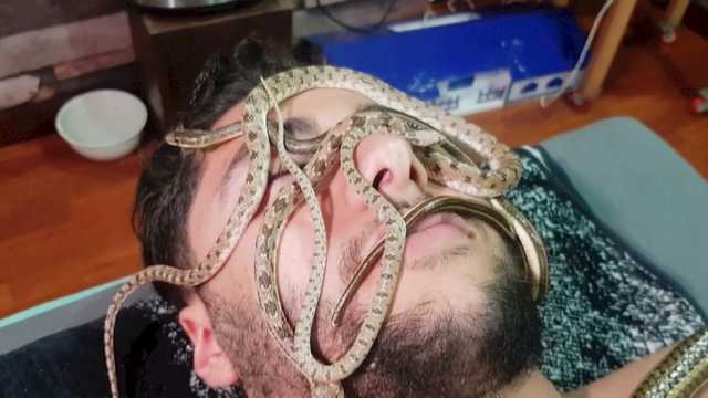 You can get a 'relaxing' snake massage in Egypt