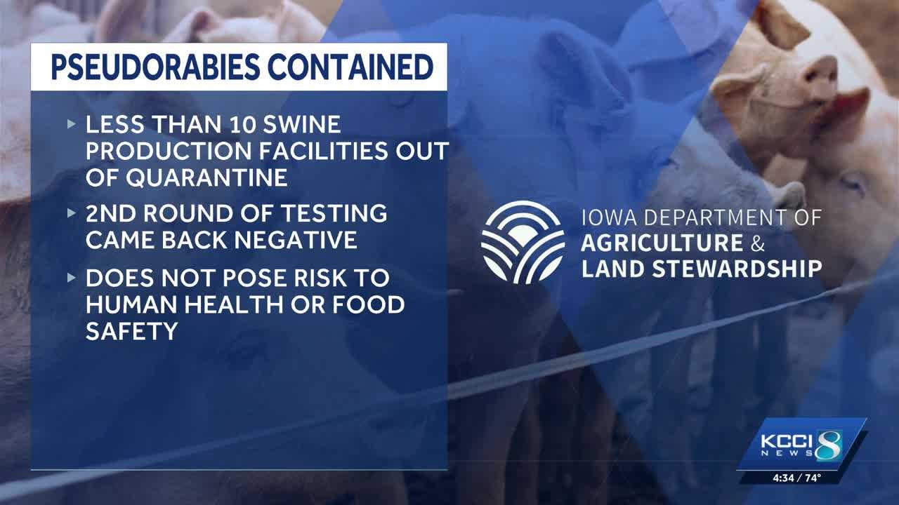 Iowa says pseudorabies eradicated after spring outbreak in small herd was contained