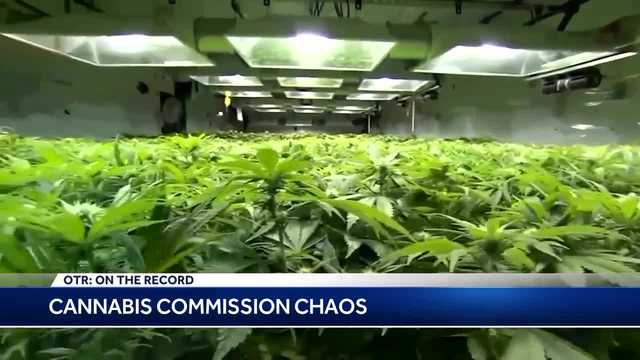 OTR: Roundtable weighs in on Cannabis Control Commission chaos - Vimarsana News