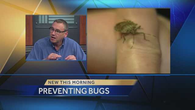 Preventing pests in your home