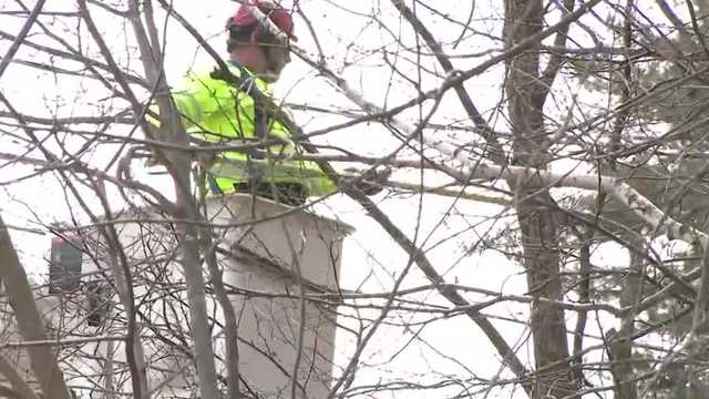 Utilities trim trees ahead of snowstorm - Vimarsana News