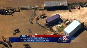 Dozens of animals found in deplorable conditions