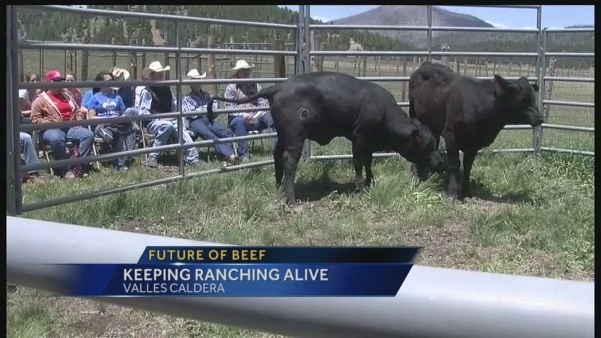 Future of beef: Keeping ranching alive