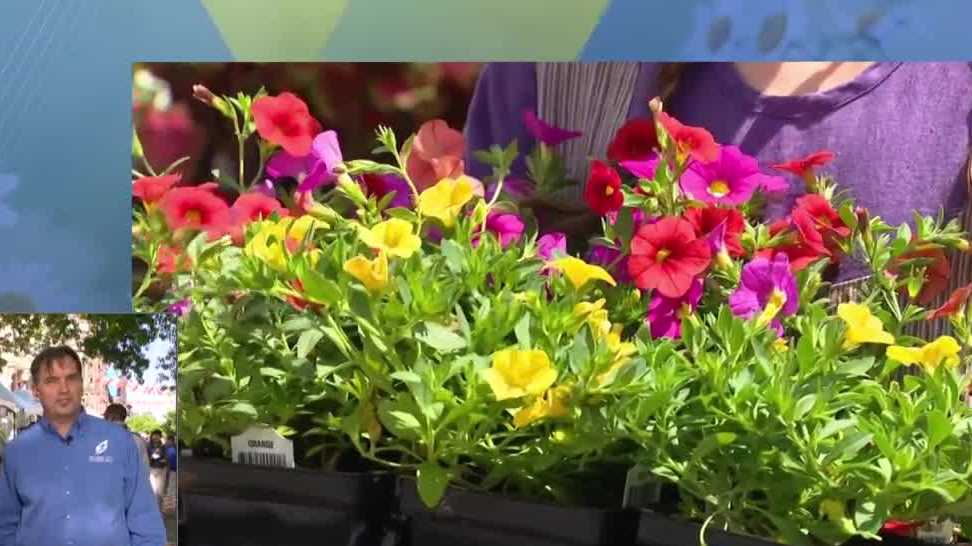 What should you expect from Mount Vernon's Flower Mart?