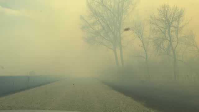 Pottawattamie County brush fire reignites due to strong winds - Vimarsana News