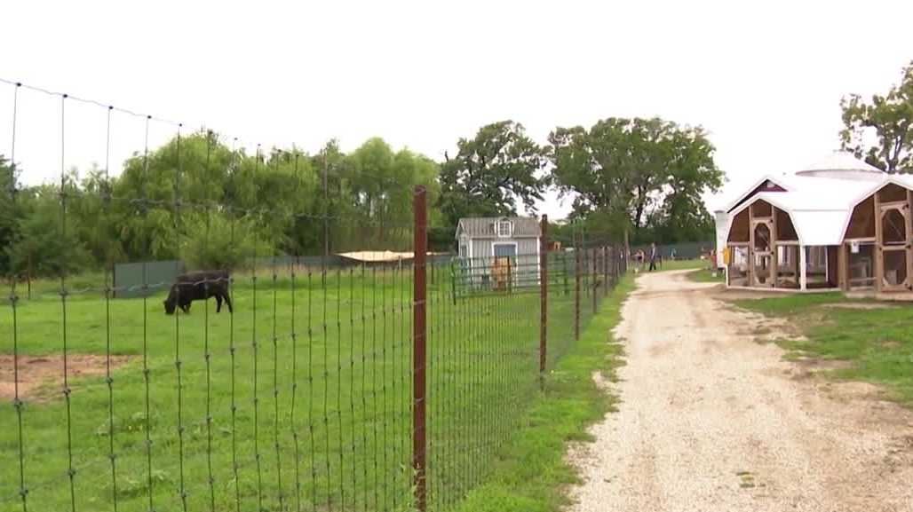 'Building an even stronger future': Popular animal sanctuary announces closure of Nebraska location