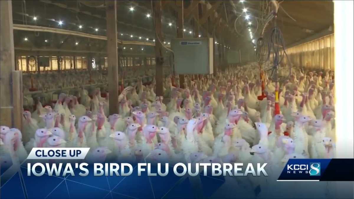 Iowa hit hard by bird flu