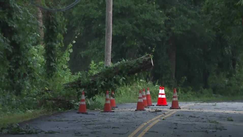Wild storm downs trees, power lines across Massachusetts