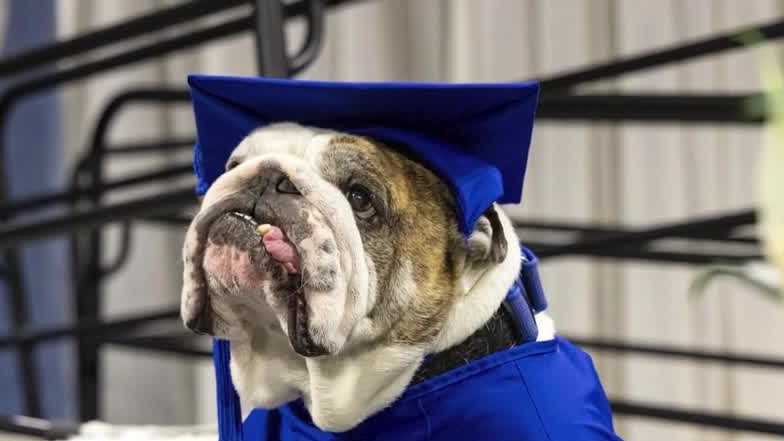 News We Love: Beloved Drake mascot Griff II graduates into retirement