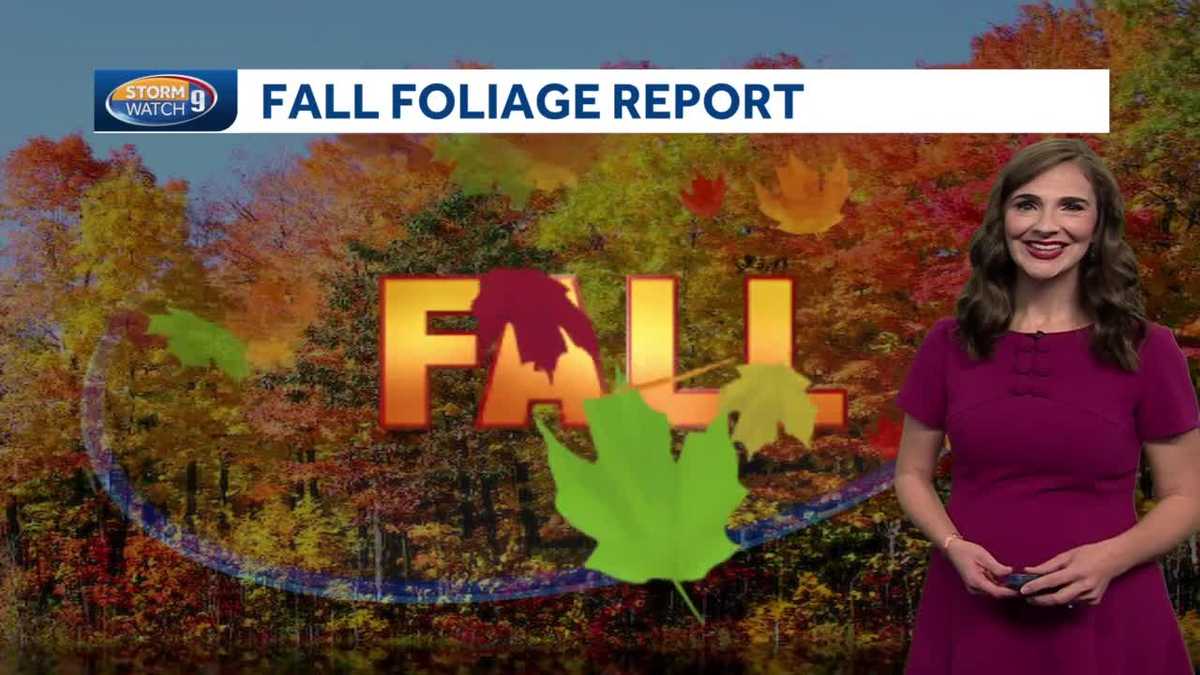 New Hampshire foliage tracker Peak color in north, west