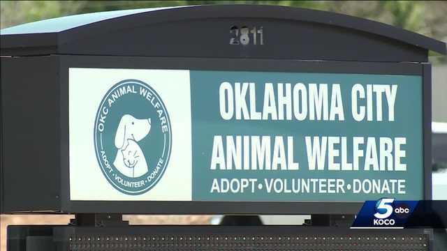 OKC Animal Welfare closes for third time year - Vimarsana News