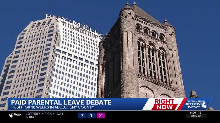 Allegheny County residents canvass for paid parental leave - WTAE
