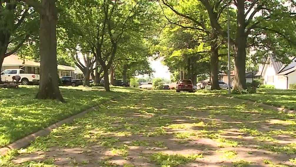 Omaha extends yard waste collection into weekend