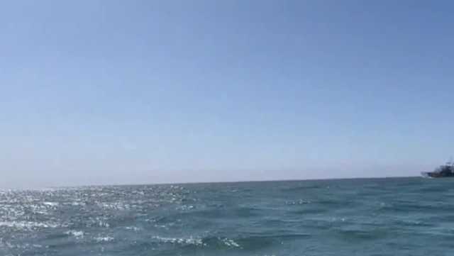 Missing California swimmer presumed dead after possible shark attack - Vimarsana News