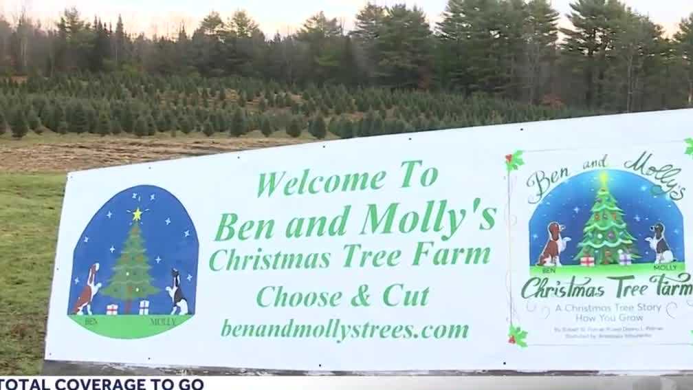 Maine Christmas tree farm sees strong opening weekend