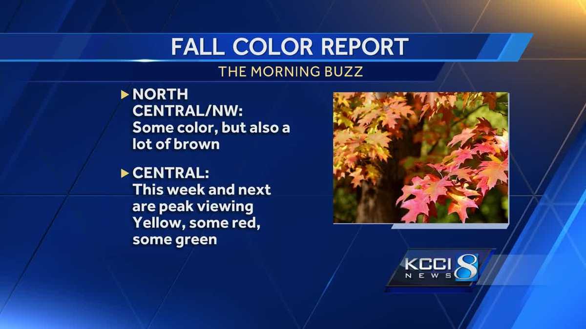 Fall color report: Peak viewing ahead