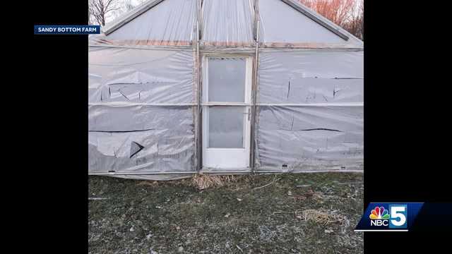 Isle La Motte Farm vandalized and pride flags stolen - Vimarsana News