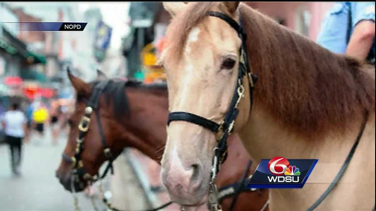 NOPD Mounted Unit to benefit from 2017 Derby on Fulton in CBD