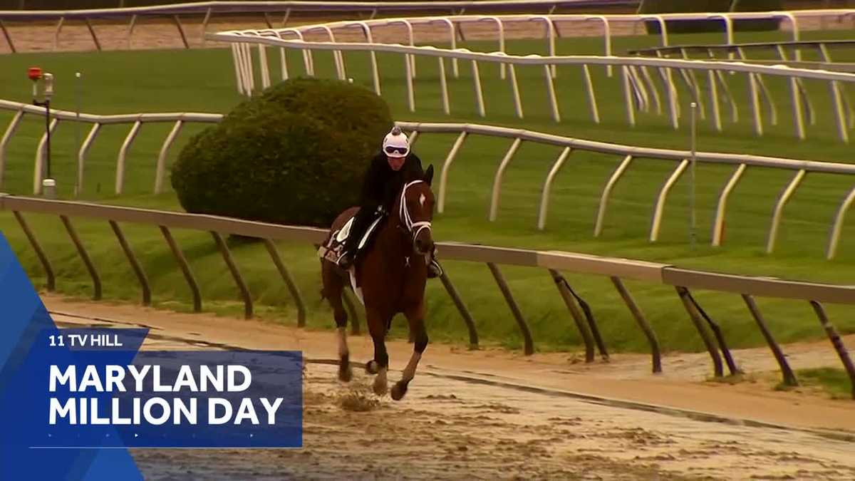 11 TV Hill: Homegrown talent prepare for 41st Maryland Million Day