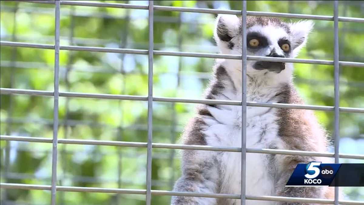 Stillwater animal park under investigation after child injured