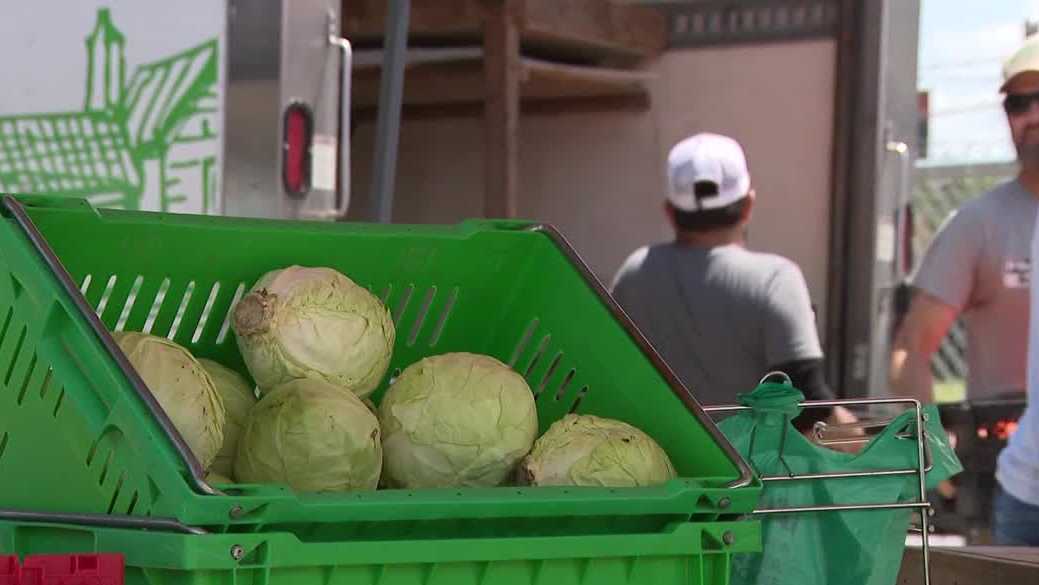 Cyclospora concerns drive interest in locally grown produce in Kentucky
