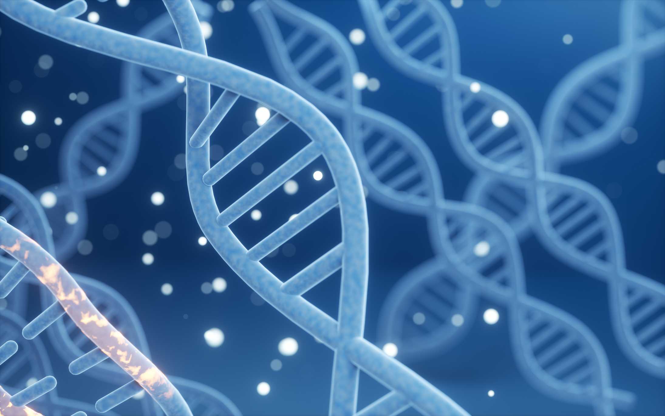 wcvb.com - Allie Jasinski - 2.8M affected in Baylor Genetics breach involving medical data