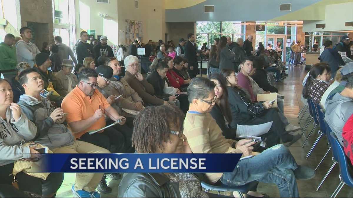 Thousands of undocumented immigrants apply for driver's licenses