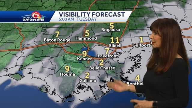 Dense fog advisory - Vimarsana News