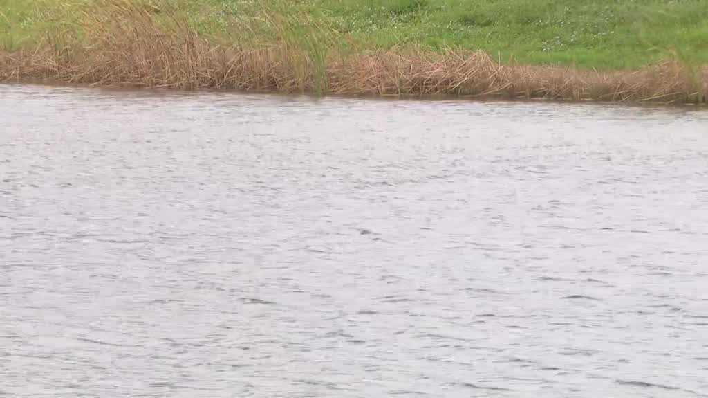 Daytona Beach to discuss fencing around retention ponds - WESH