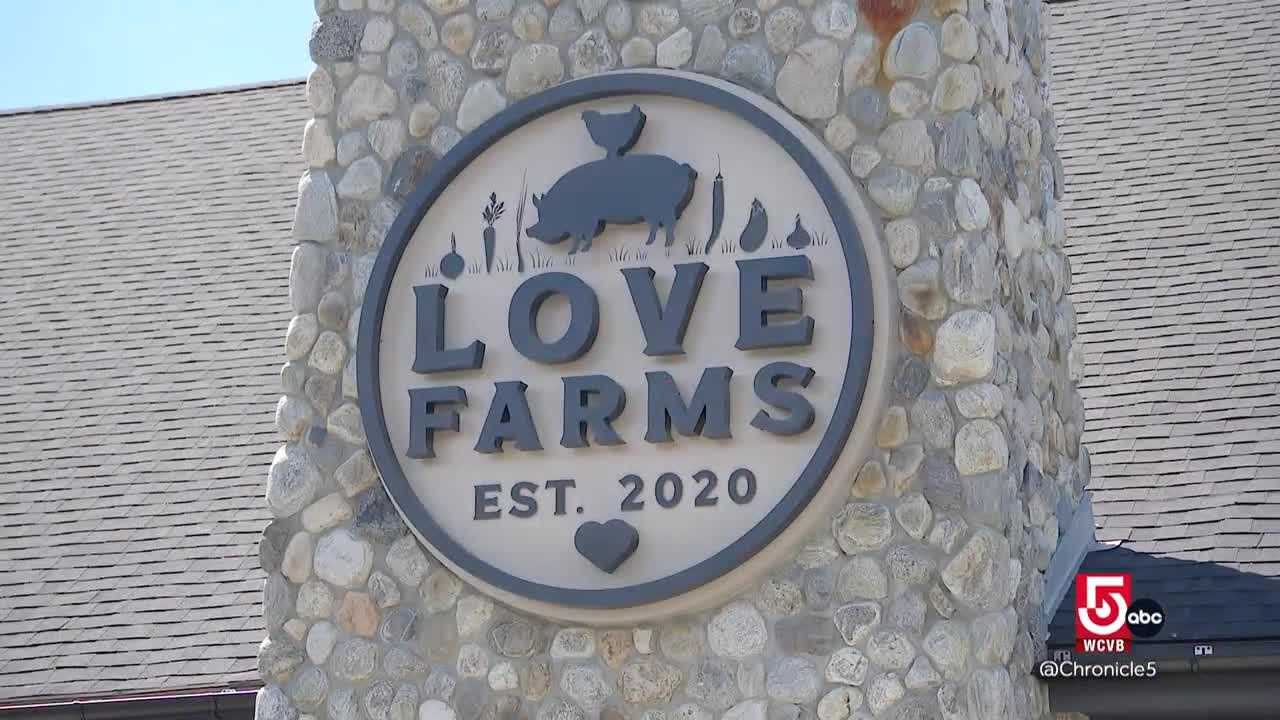 wcvb.com - Shayna Seymour - Love Farms brings farm-to-table dining and community to Cape Cod