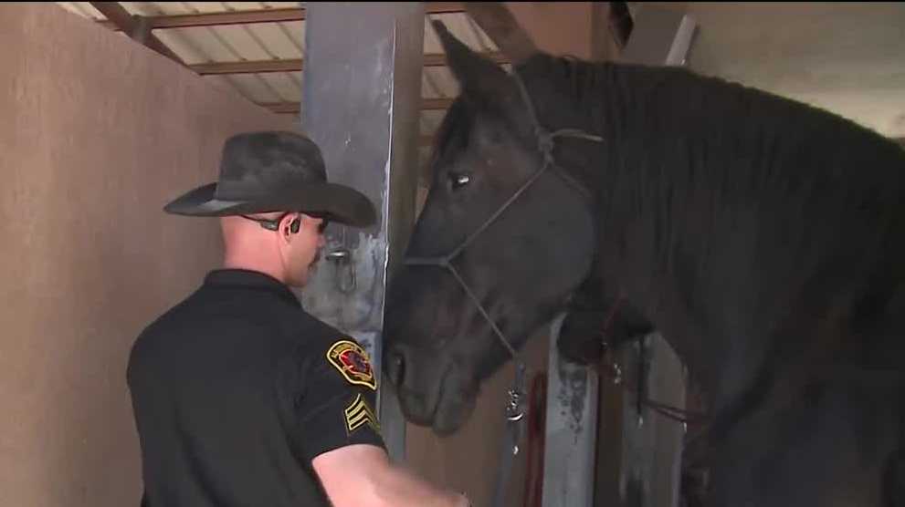 New Mexico police department helps to bring police horses to small town ...