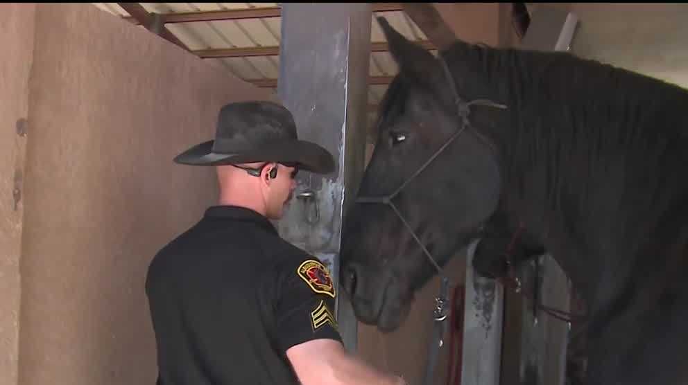 New Mexico police department helps to bring police horses to small town ...