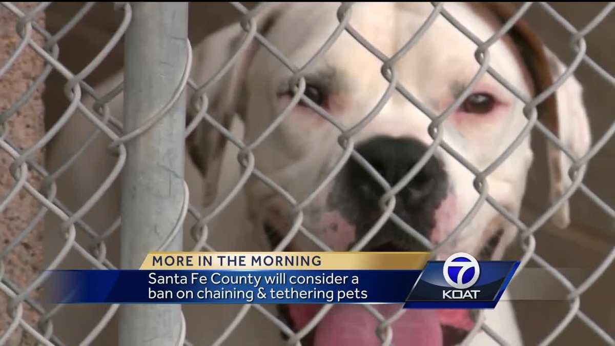 Santa Fe Considering New Pet Restrictions