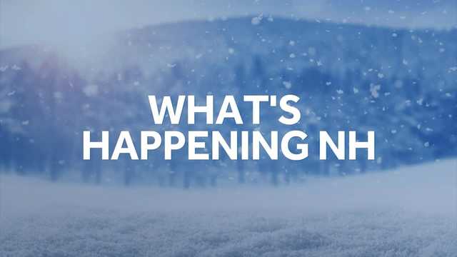 Things to do in NH this weekend: Jan. 13-14, 2024 - Vimarsana News