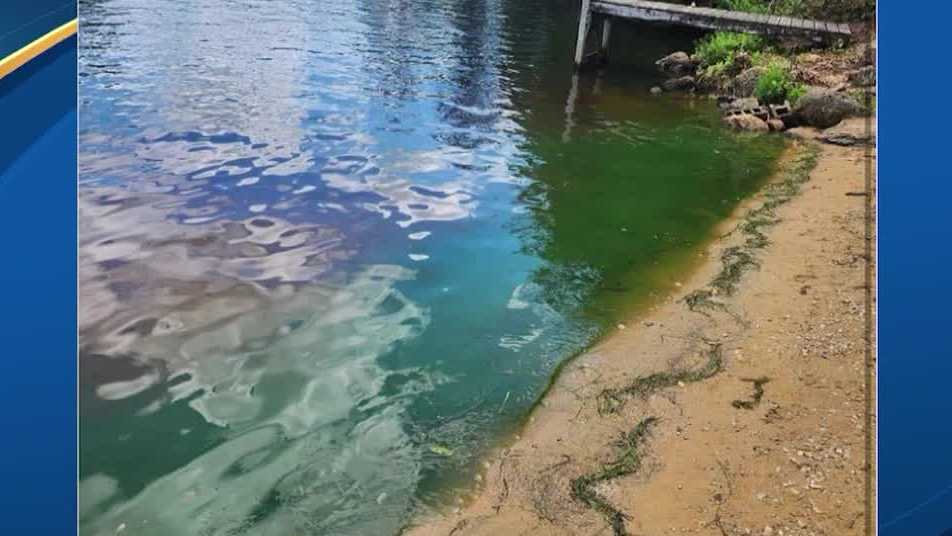 New Hampshire officials plan to tackle cyanobacteria issues