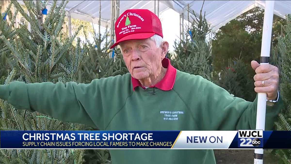 Savannah area feels impact of nationwide Christmas tree shortage