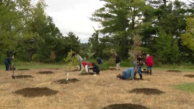 Organization works to honor Nebraska's fallen military and first responders by planting trees - Vimarsana News