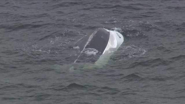 Man's boat flips, spends 30 minutes in chilly Boston Harbor water - Vimarsana News