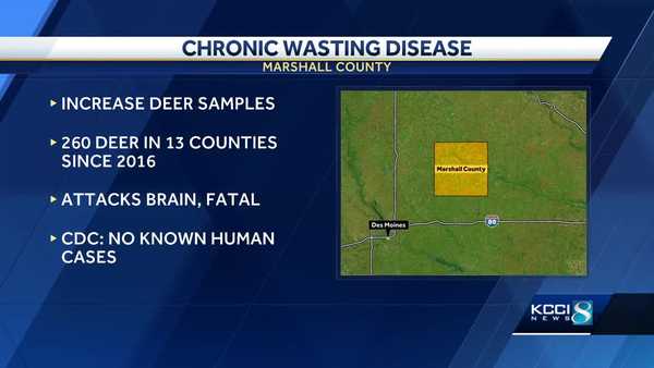 chronic wasting disease found in marshall county