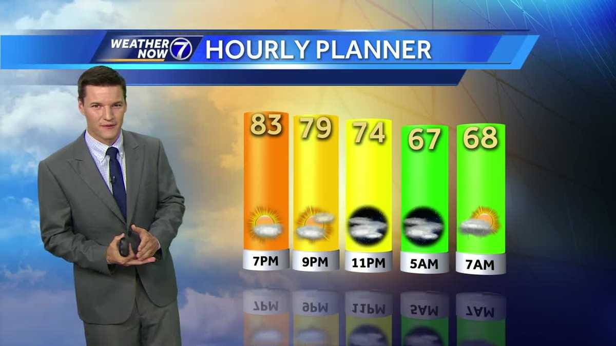Comfortable evening with stray shower possible early