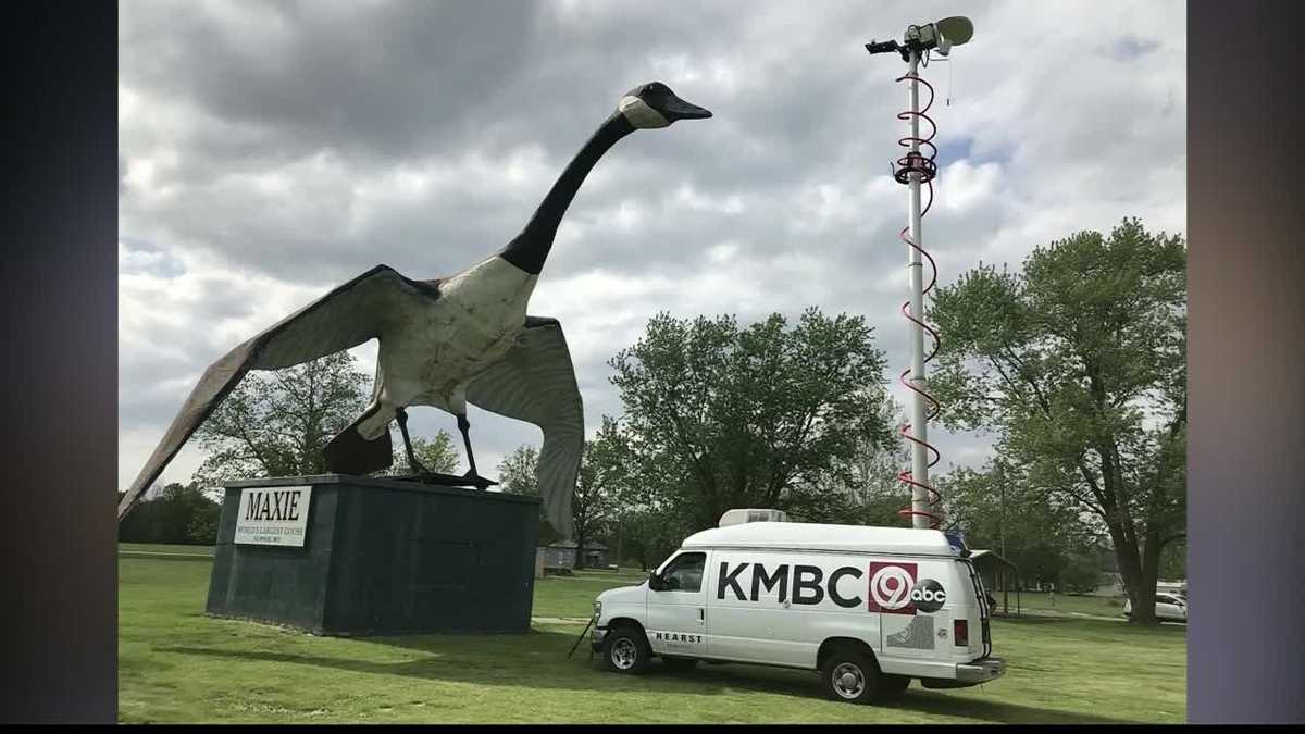 Effort underway to restore massive goose in Sumner, Missouri