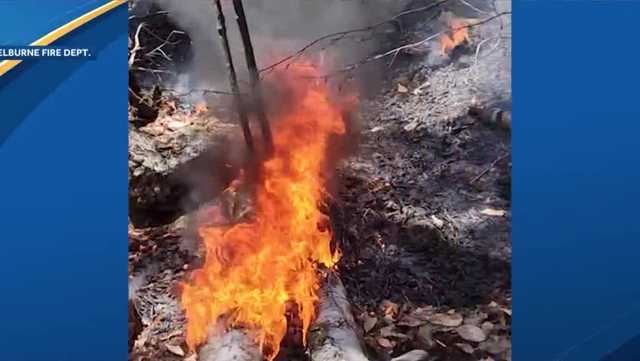 New Hampshire brush fire: Crews battle Centennial Fire - Vimarsana News