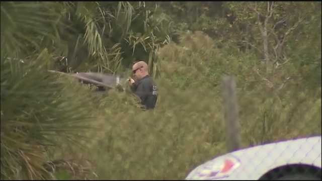 Decomposing body found in Debary