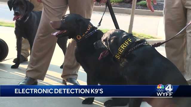 SC gets 5 new K-9’s to fight child sex trafficking