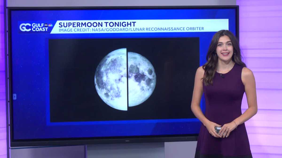 First supermoon of 2025 to rise over Florida Monday night