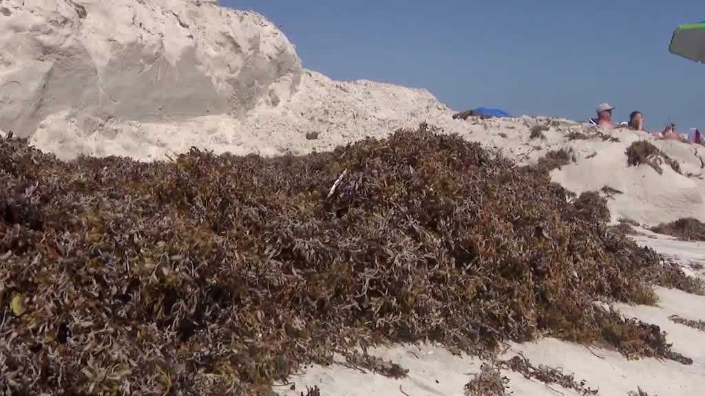 Rough surf, erosion concerns in New Smyrna Beach carry safety warning for Edgewater residents